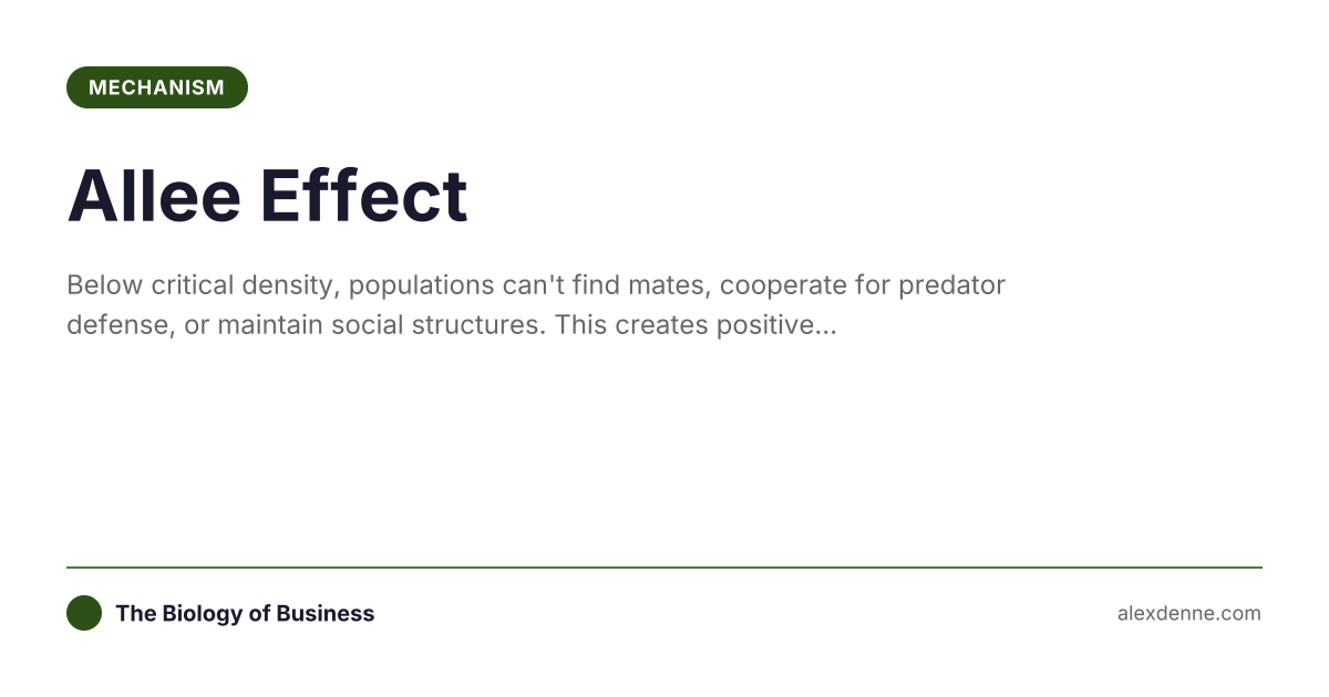 Allee Effect (Mechanism) | The Biology of Business