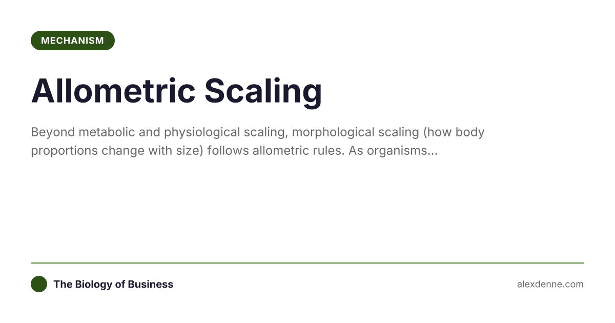 Allometric Scaling (Mechanism) | The Biology of Business