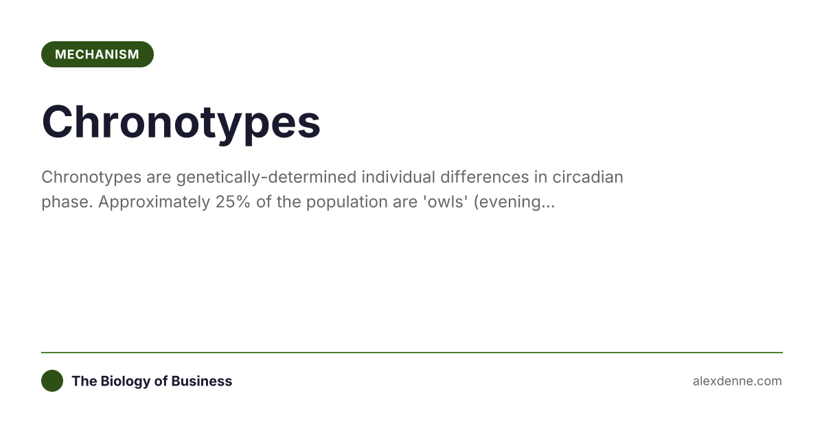 Chronotypes (Mechanism) | The Biology of Business
