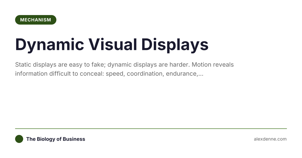 Dynamic Visual Displays... | The Biology of Business