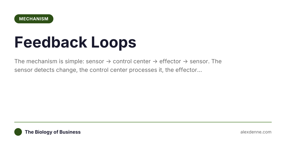 Feedback Loops (Mechanism) | The Biology of Business