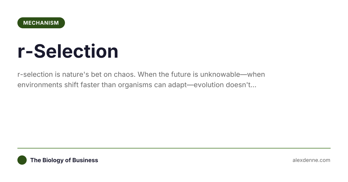 R Selection Examples r-Selection (Mechanism) | The Biology of Business
