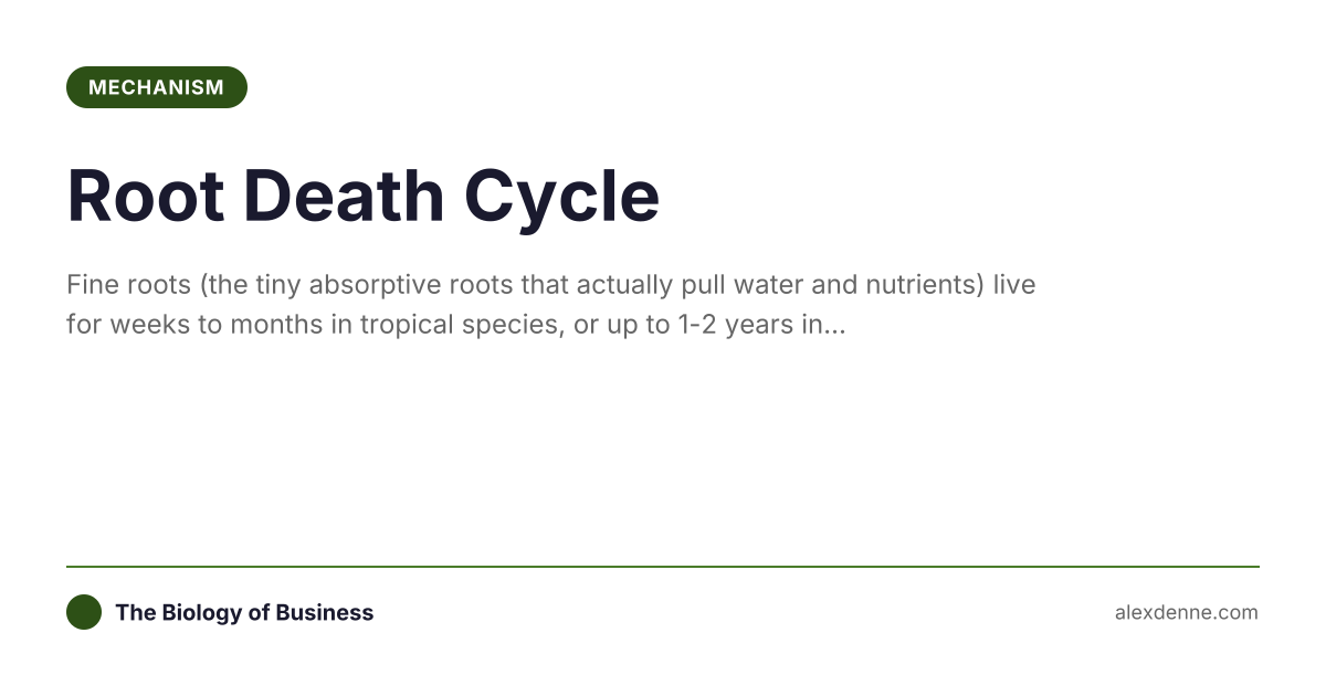 Death Root Sign Root Death Cycle (Mechanism) | The Biology of Business