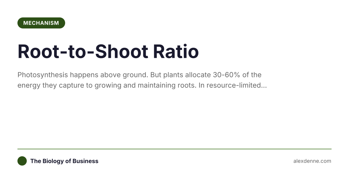 Shokit Rati Root-to-Shoot Ratio (Mechanism) | The Biology of Business
