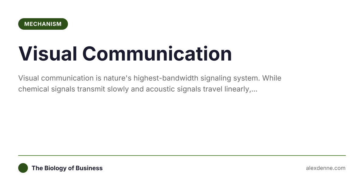 Visual Communication (Mechanism) | The Biology of Business