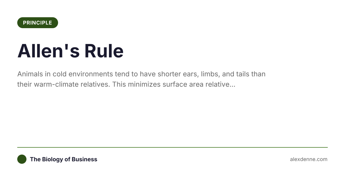 Allen's Rule (Principle) | Alex Denne